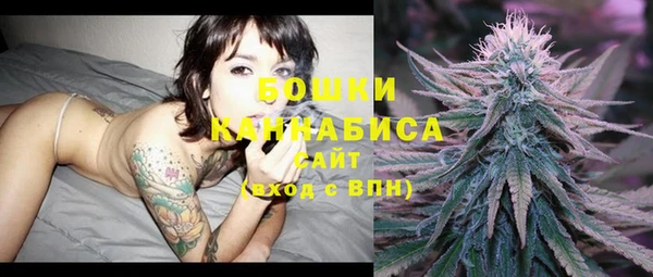 прущий лед Богданович