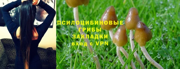 бутират Богородицк