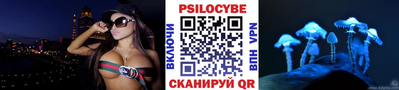 цены Электросталь Псилоцибиновые грибы Magic Shrooms